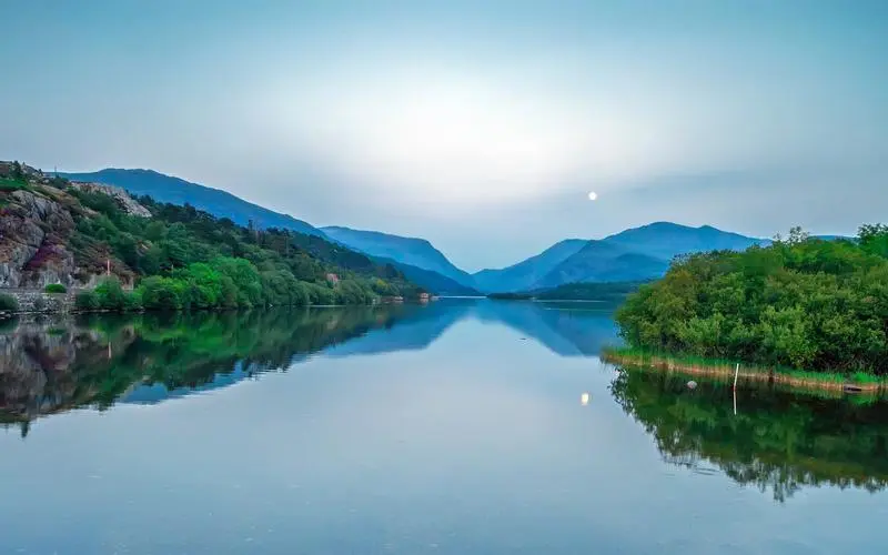 创意绿色